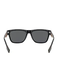 BE4293  Polarized Sunglasses