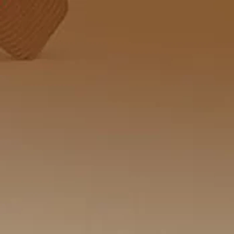 BE4316 Willow Polarized Sunglasses