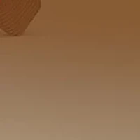 BE4316 Willow Polarized Sunglasses