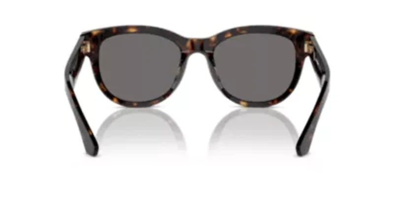 BE4432U  Polarized Sunglasses