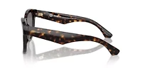 BE4432U  Polarized Sunglasses