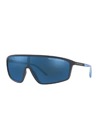 AX4119S Sunglasses