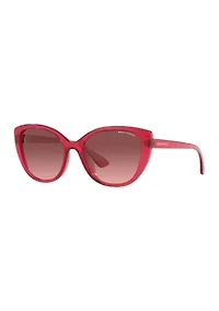 AX4111SU  Sunglasses