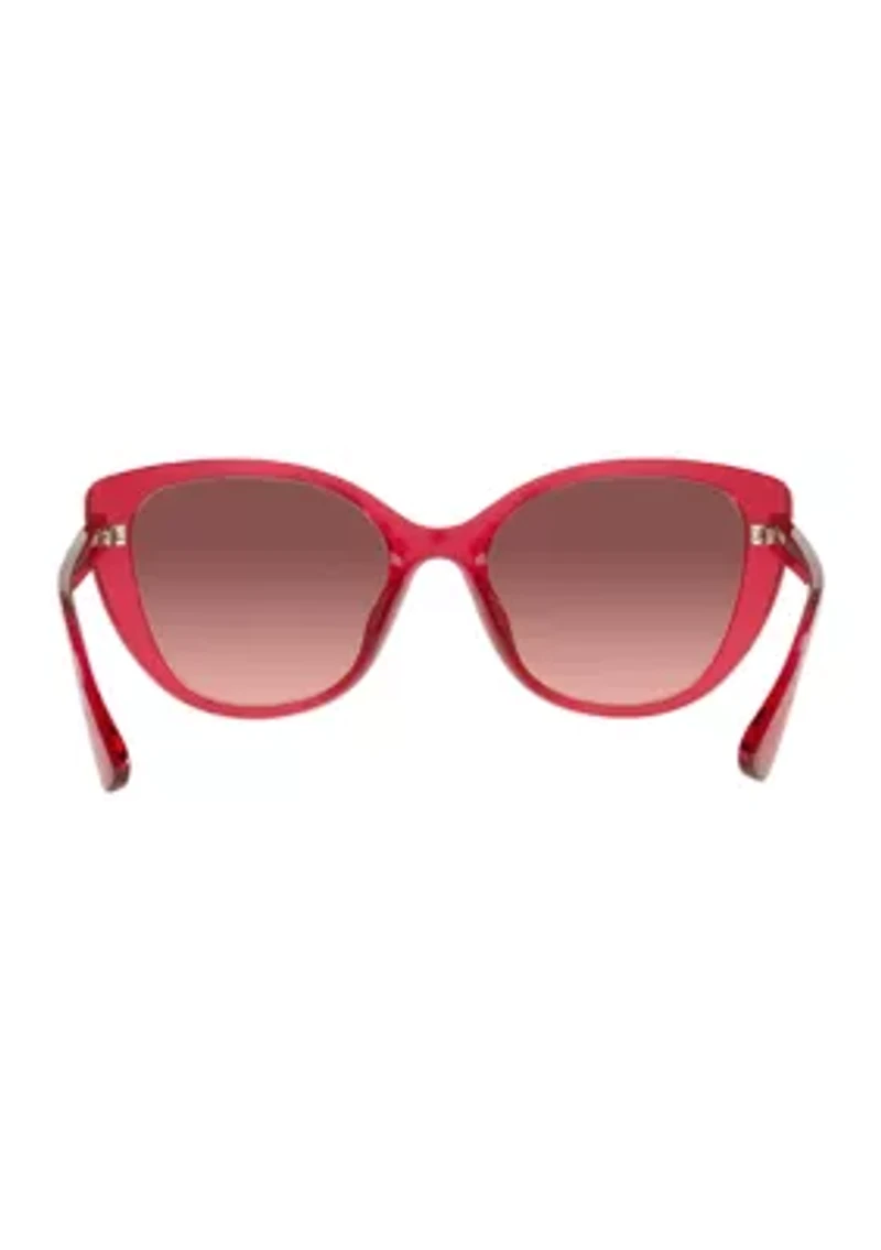 AX4111SU  Sunglasses