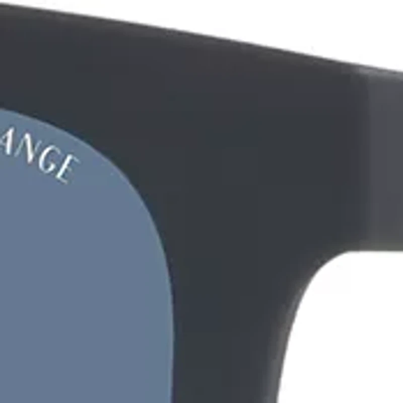 AX4112SU Sunglasses