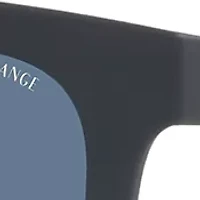 AX4112SU Sunglasses