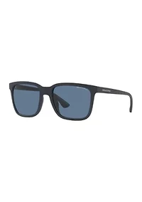 AX4112SU Sunglasses
