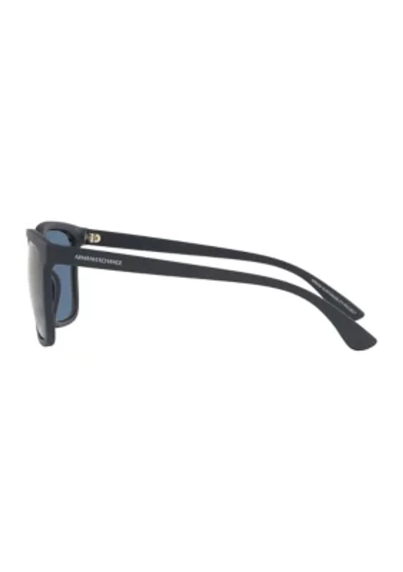 AX4112SU Sunglasses