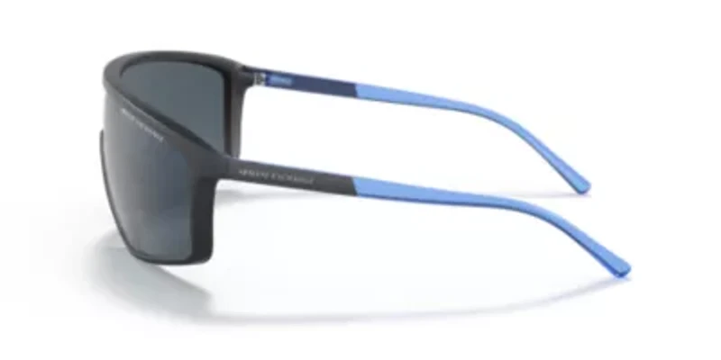 AX4119S Sunglasses