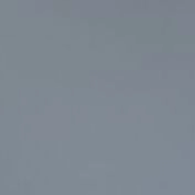 AX2012S  Polarized Sunglasses