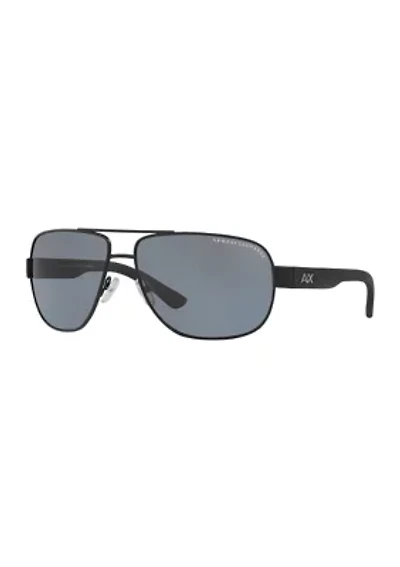 AX2012S  Polarized Sunglasses