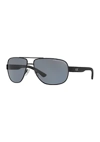 AX2012S  Polarized Sunglasses