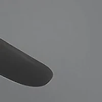 AX2037S Polarized Sunglasses