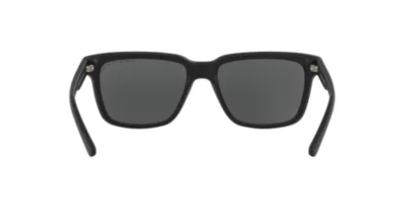 AX4026S Polarized Sunglasses