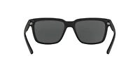 AX4026S Polarized Sunglasses