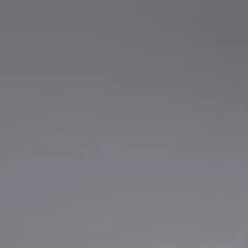 AX4070S Polarized Sunglasses