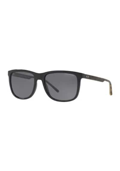 AX4070S Polarized Sunglasses