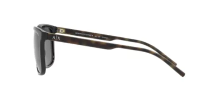 AX4070S Polarized Sunglasses