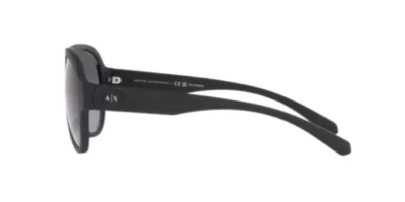 AX4126SU Polarized Sunglasses