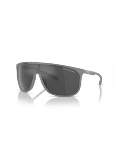 AX4137SU Sunglasses