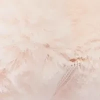 Fur Pull Thru Scarf