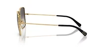 DG2242  Sunglasses