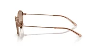 TY6103 Sunglasses