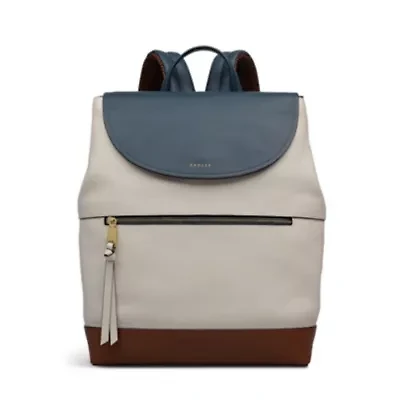 Albion Street Colourblock Large Ziptop Backpack