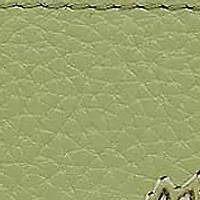 Among The Treesmedium Ziptop Wallet