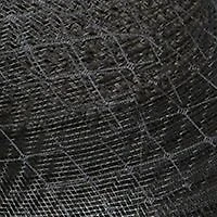 Sheer Brim Large Romantic Profile Hat