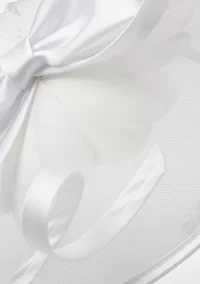 Bow Net Fascinator Hat