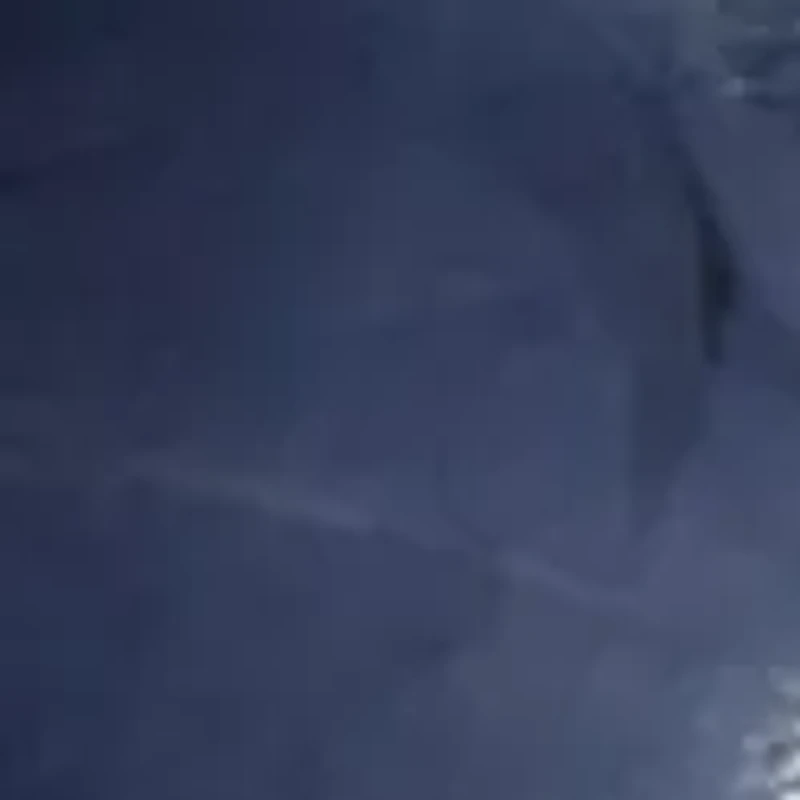 Feather Flower Net Fascinator Headband