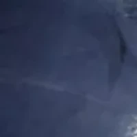 Feather Flower Net Fascinator Headband