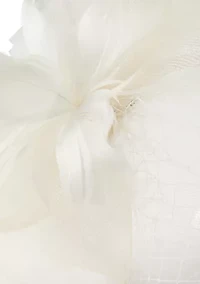 Net Feather Fascinator