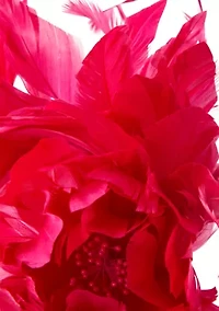 Sweet Floral Fascinator