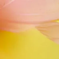 Net Feather Fascinator