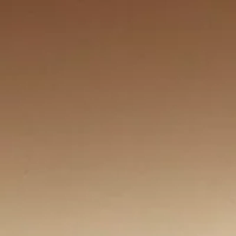 Large Square Sunglasses