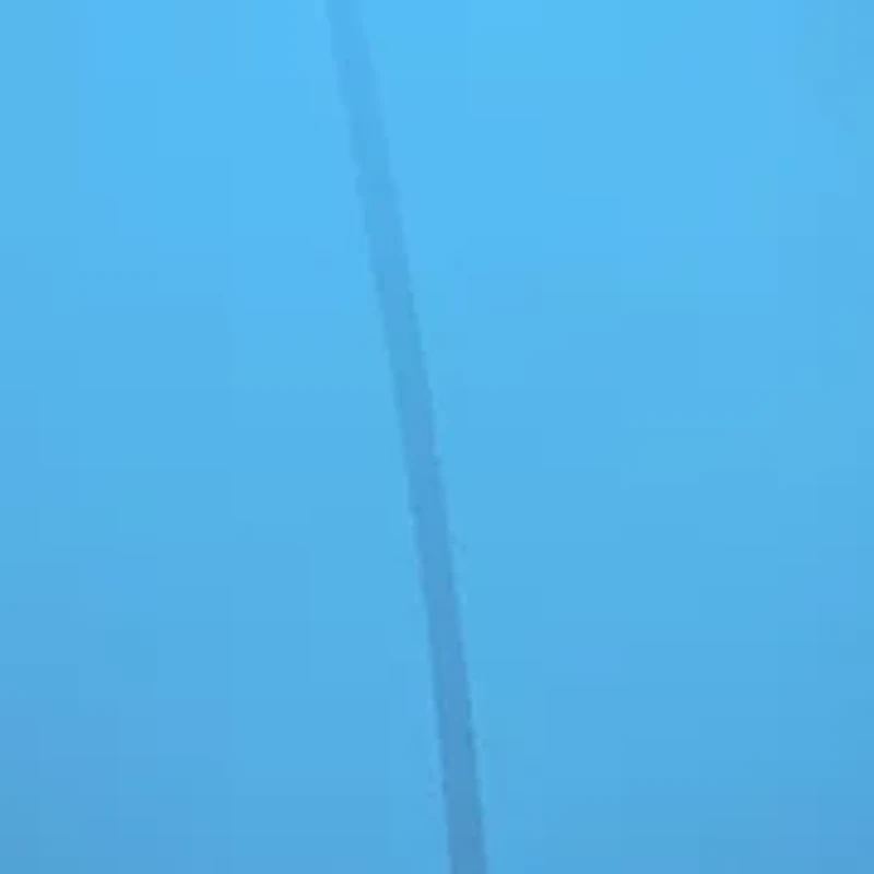 6S9049 Paunch Polarized Sunglasses