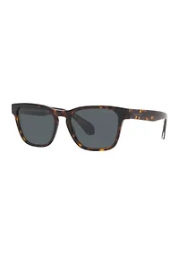AR8155 Sunglasses