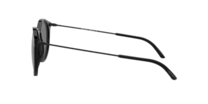 AR8121 Sunglasses