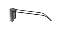 AR8034  Polarized Sunglasses