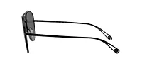 AR6084  Sunglasses