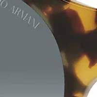 AR8146 Sunglasses