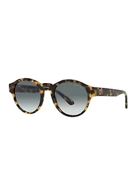 AR8146 Sunglasses