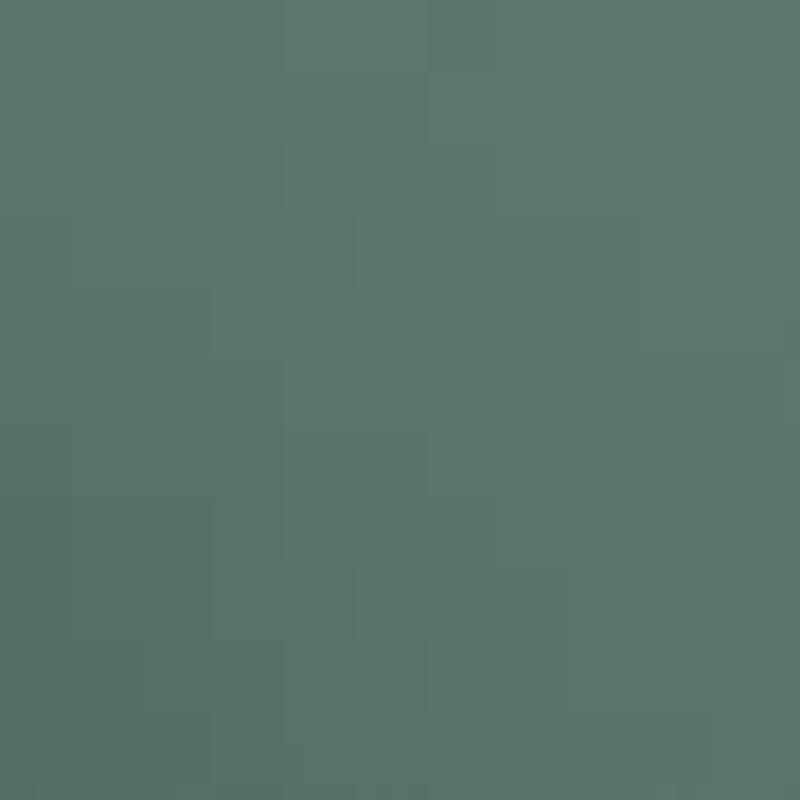 TR001363 FT0907 Sunglasses