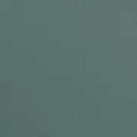 TR001363 FT0907 Sunglasses