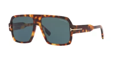 TY6102 Sunglasses