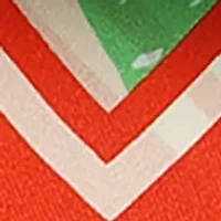 Shrimp Slack Silk Bandana