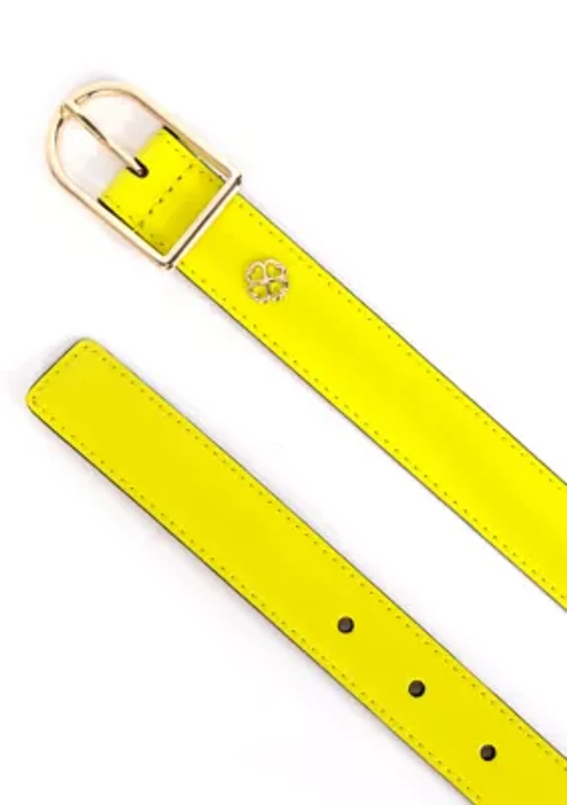 Solid Belt