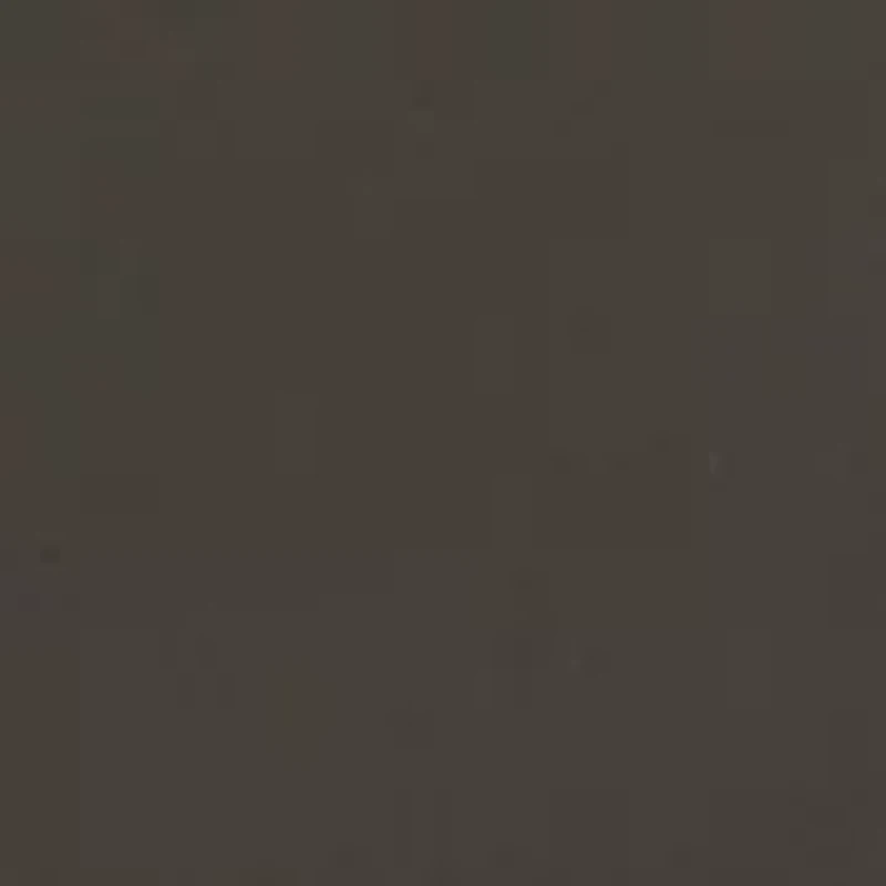 Reversible Belt 25MM